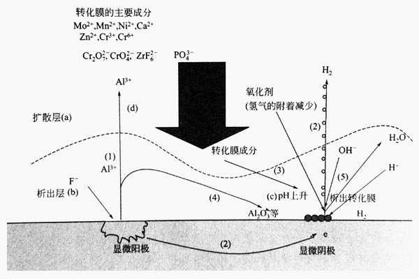 鋁型材化學(xué)轉(zhuǎn)化膜析出模型圖